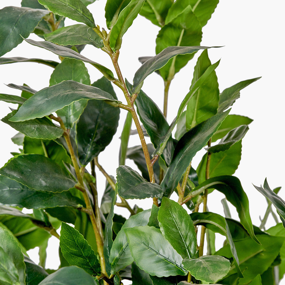 Artificial Bay Tree in Pot | Medium